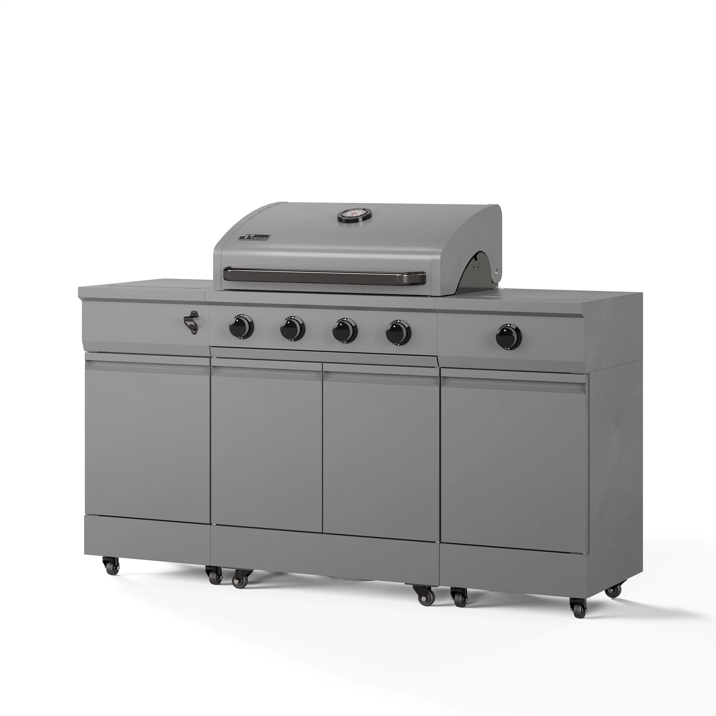 TYTUS Fresno 5-Burner LP/NG Convertible Grill in Gunmetal Gray - TDT-021-0101